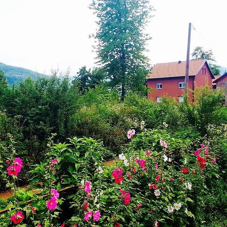 Peace Valley - Dolina Mira Janja Gora ภายนอก รูปภาพ