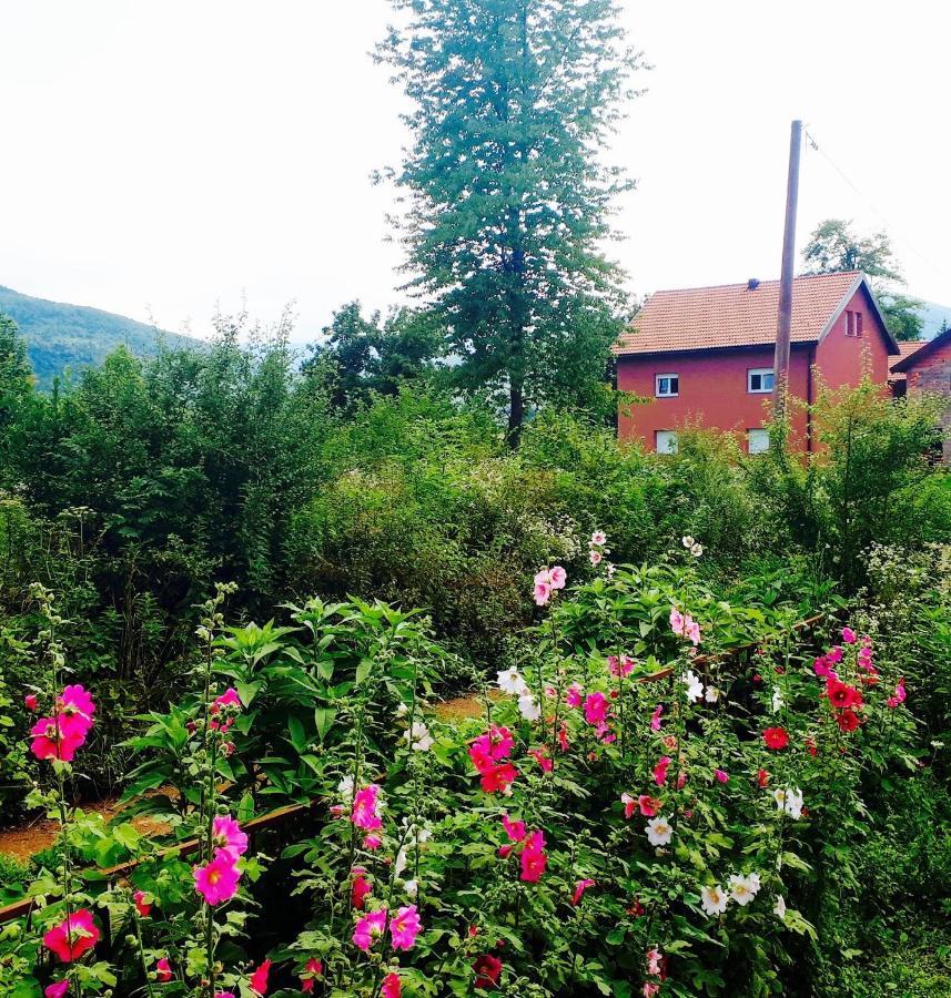 Peace Valley - Dolina Mira Janja Gora ภายนอก รูปภาพ