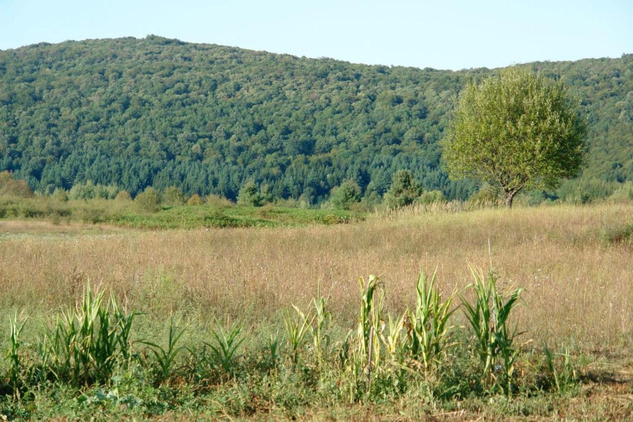 Peace Valley - Dolina Mira Janja Gora ภายนอก รูปภาพ