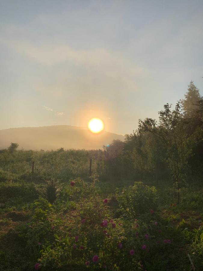 Peace Valley - Dolina Mira Janja Gora ภายนอก รูปภาพ