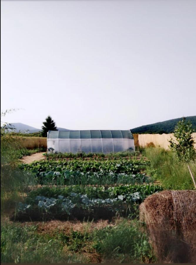 Peace Valley - Dolina Mira Janja Gora ภายนอก รูปภาพ