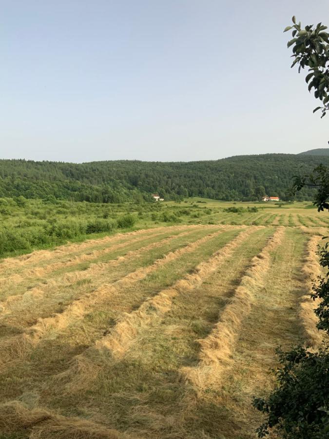 Peace Valley - Dolina Mira Janja Gora ภายนอก รูปภาพ