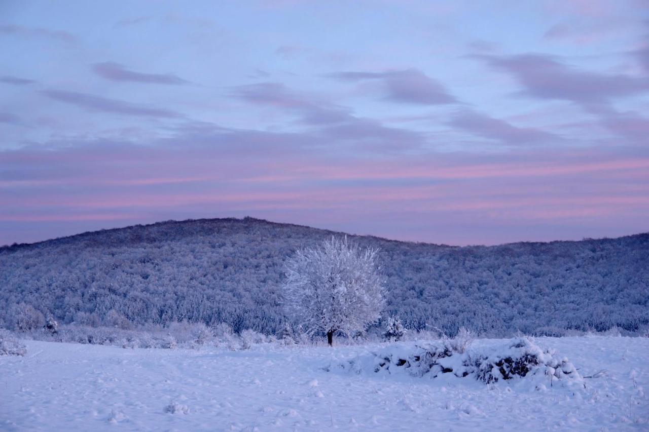 Peace Valley - Dolina Mira Janja Gora ภายนอก รูปภาพ