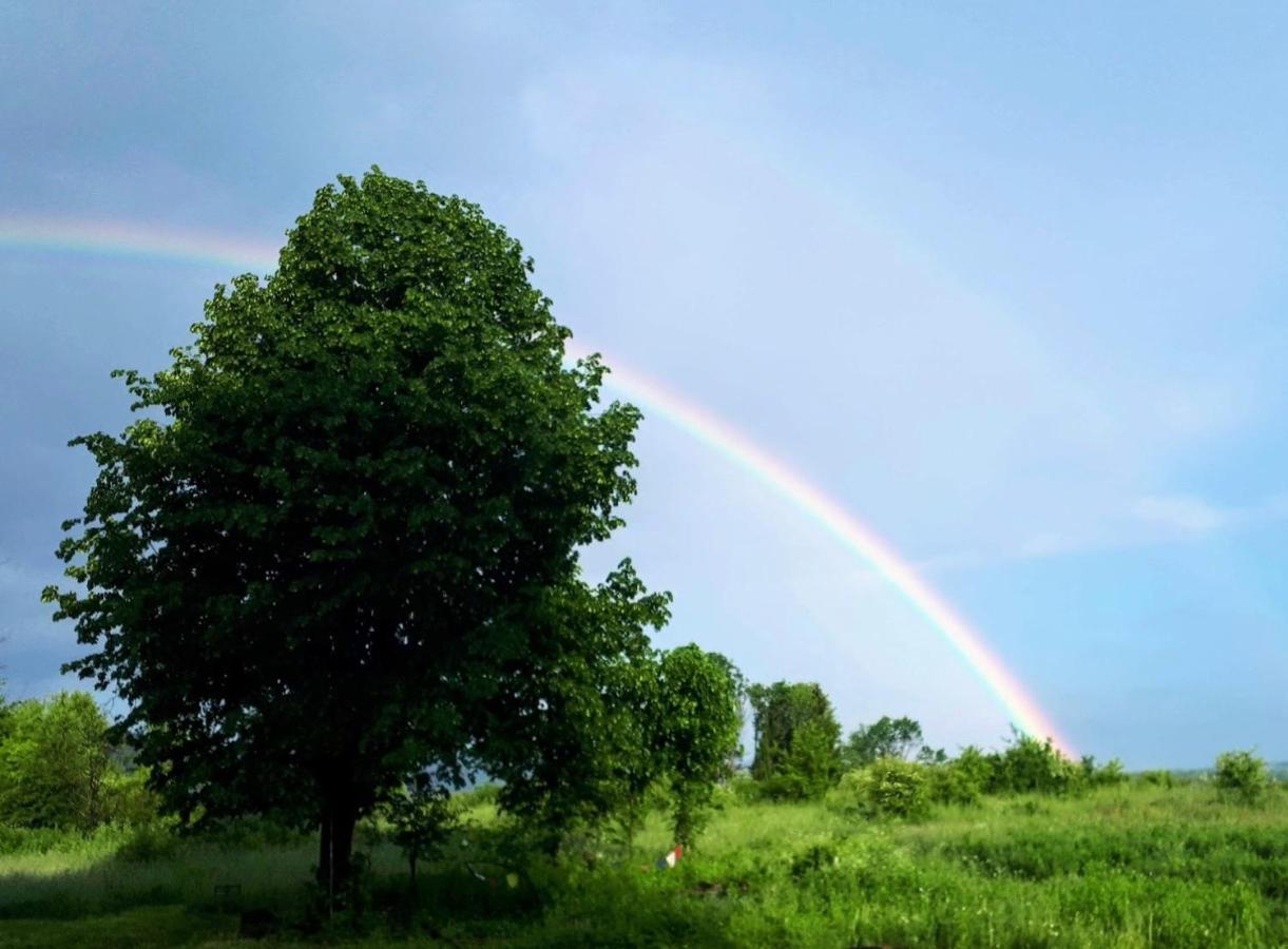 Peace Valley - Dolina Mira Janja Gora ภายนอก รูปภาพ